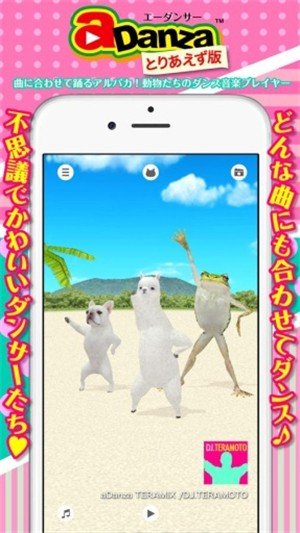 aDanza(一个跳舞的羊驼)