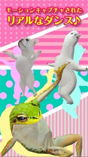 aDanza(一个跳舞的羊驼)