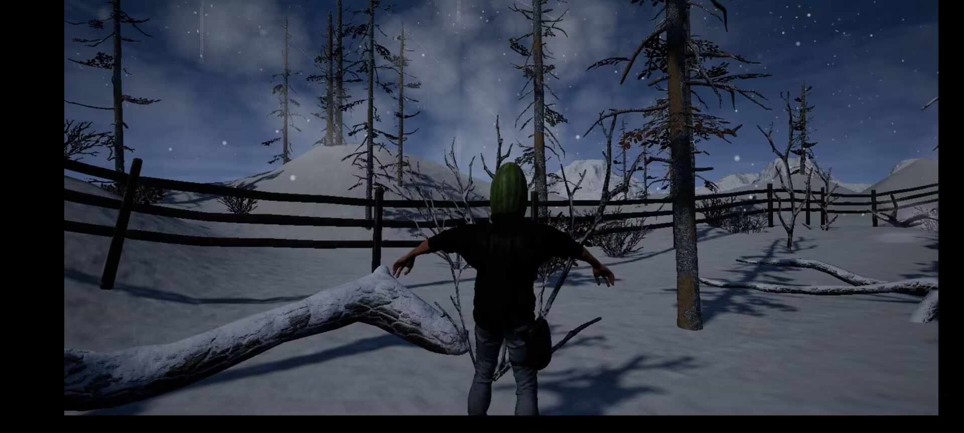 修理小木屋(RescueColdGirl)