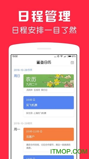 鲨鱼日历