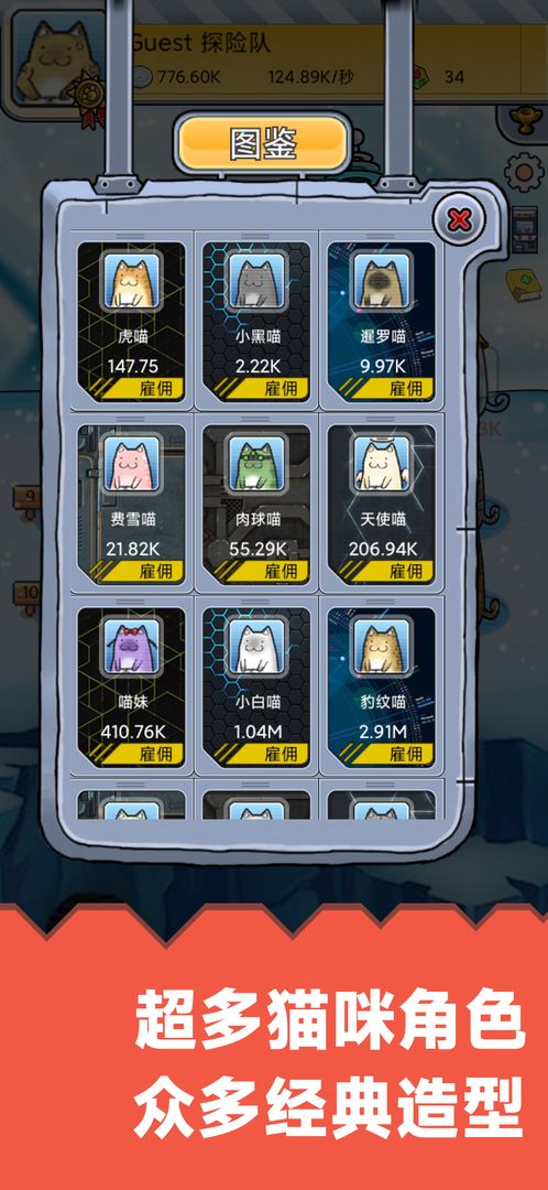 懒洋洋的宝藏猫