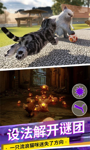 猫咪城市模拟 猫咪城市模拟