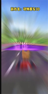 动物赛车