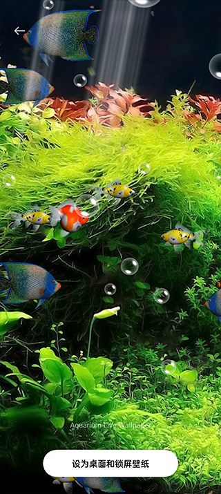 水族馆动态壁纸桌面屏保安卓版