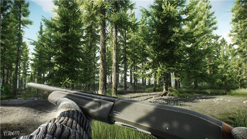 逃离塔科夫海岸地图(Escape From Tarkov Helper)