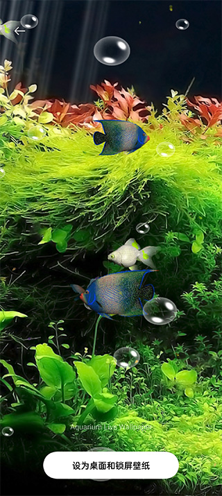 水族馆动态壁纸桌面屏保安卓版