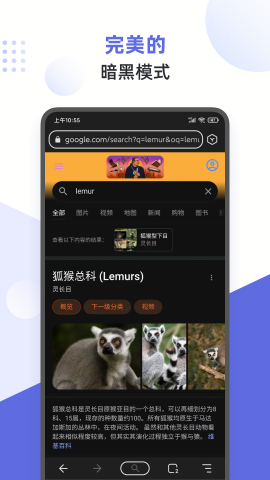 狐猴浏览器插件app