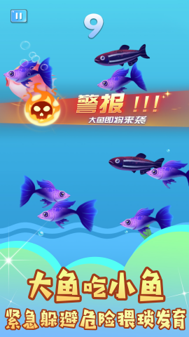 鱼吃鱼谁怕谁最新版