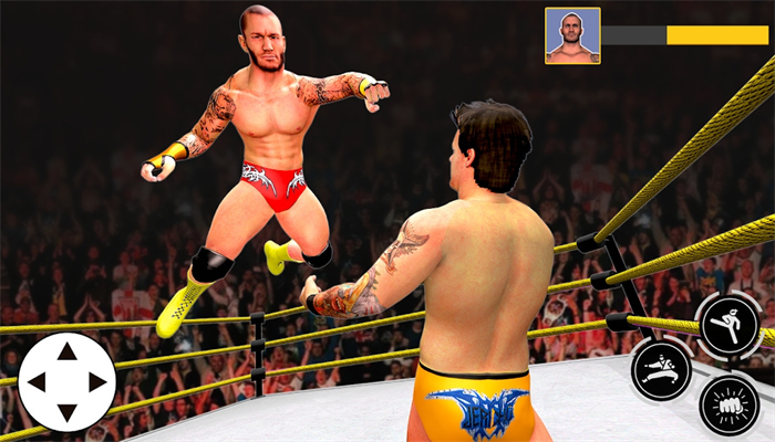 健身房格斗竞技场(Gym Fighting Wrestling Arena)