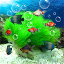 水族馆动态壁纸桌面屏保安卓版