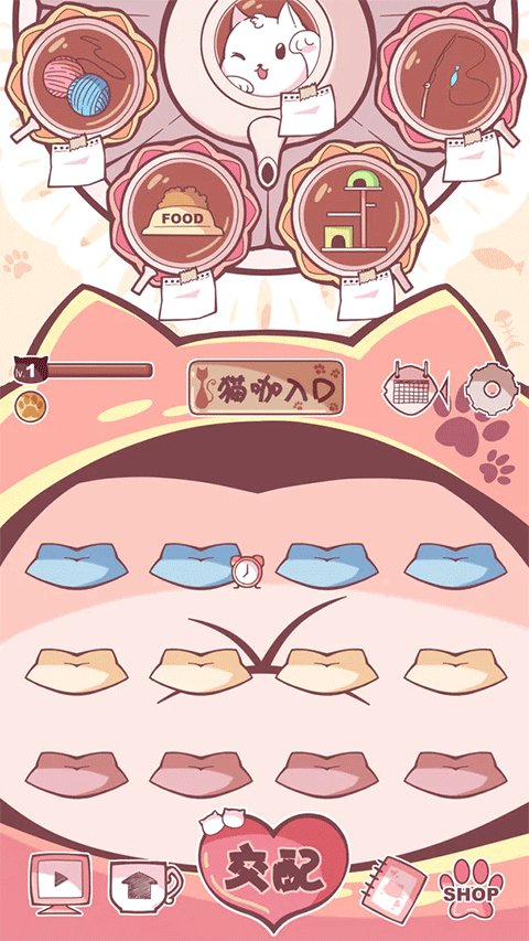 云撸猫咪 云撸猫咪