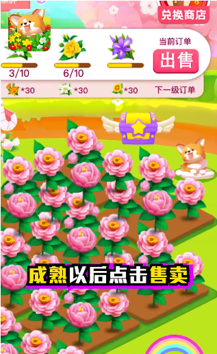 旺旺花园