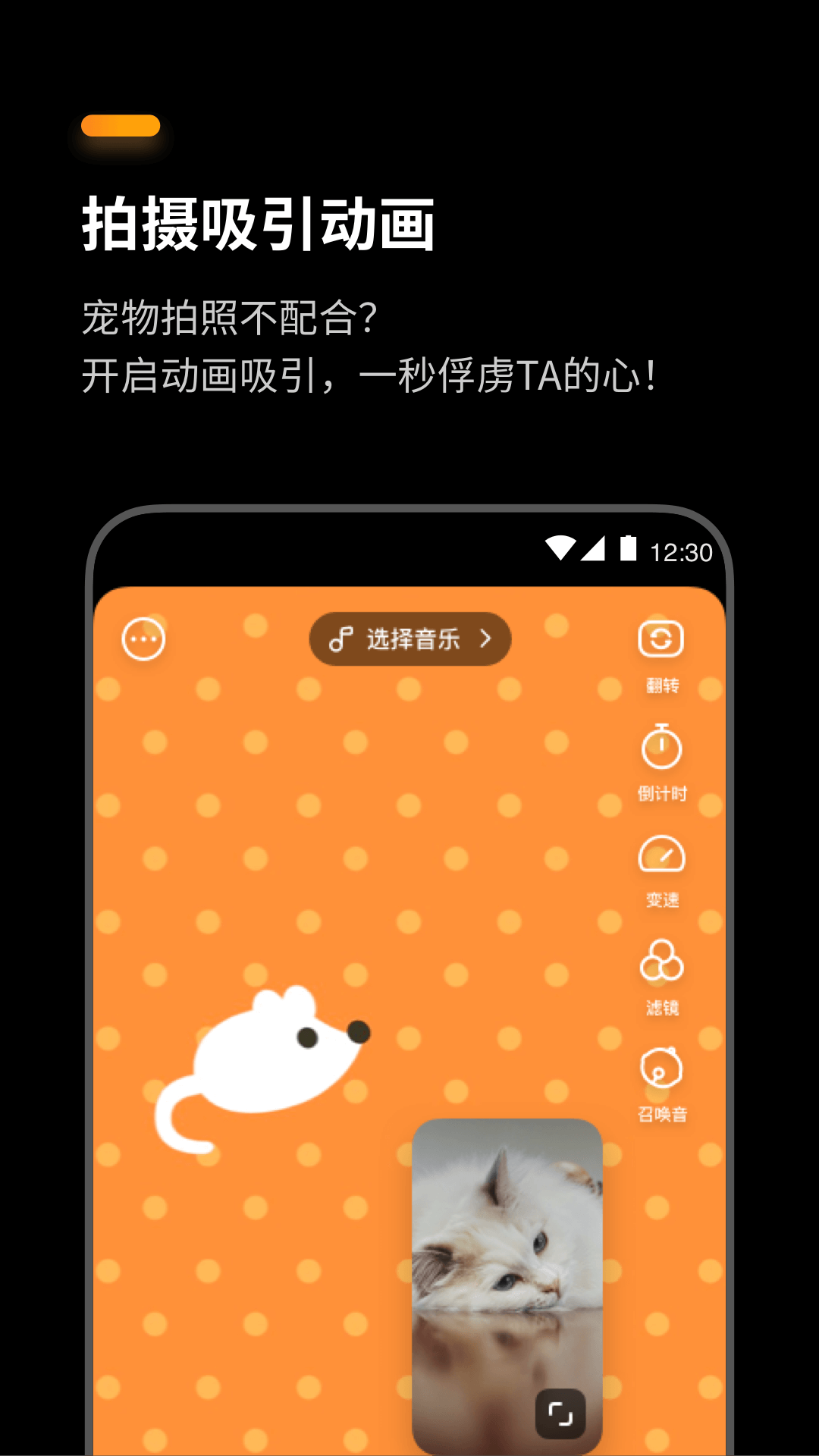盟宠星球