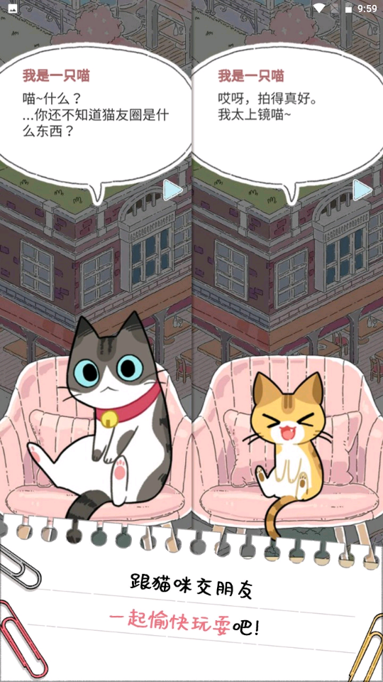 猫友圈