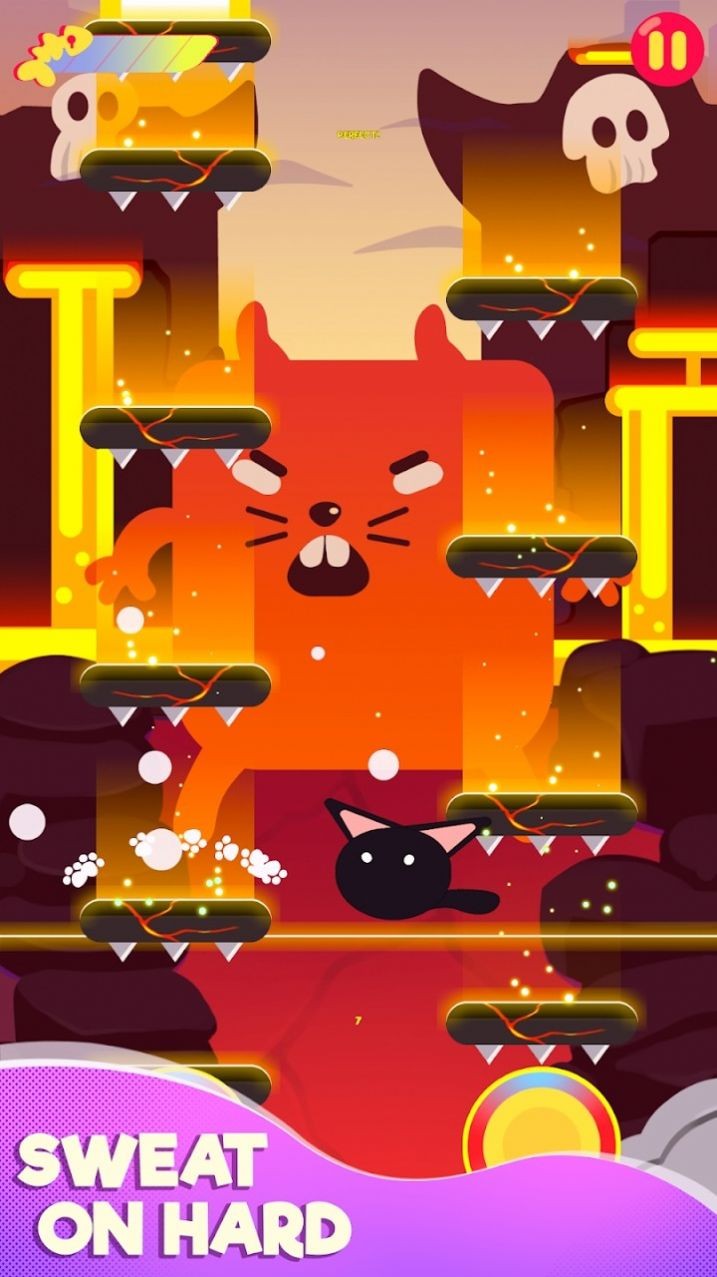 吓唬猫Cringe the Cat