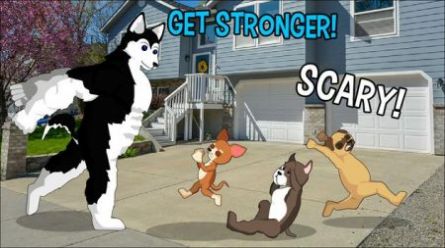 Cartoon Fight: Dogs War