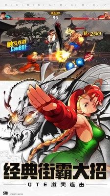 街霸对决无限血量版