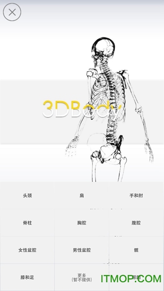 3Dbody解剖中文版