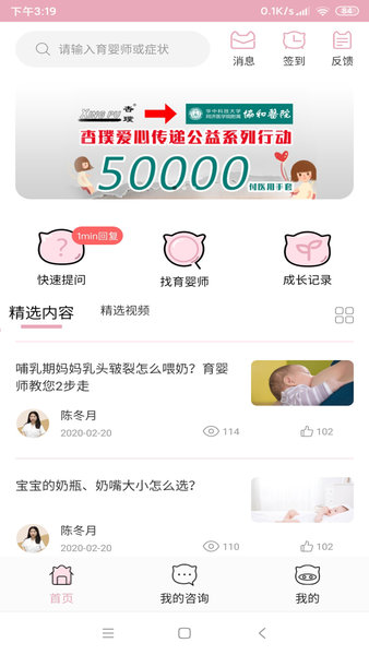 小母猪