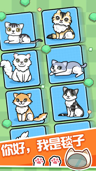 跑酷云养猫