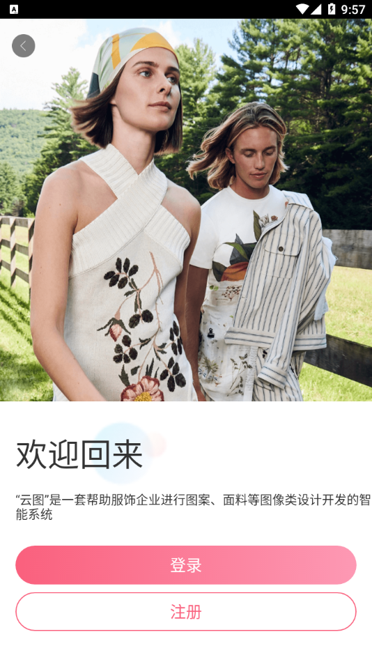 云图