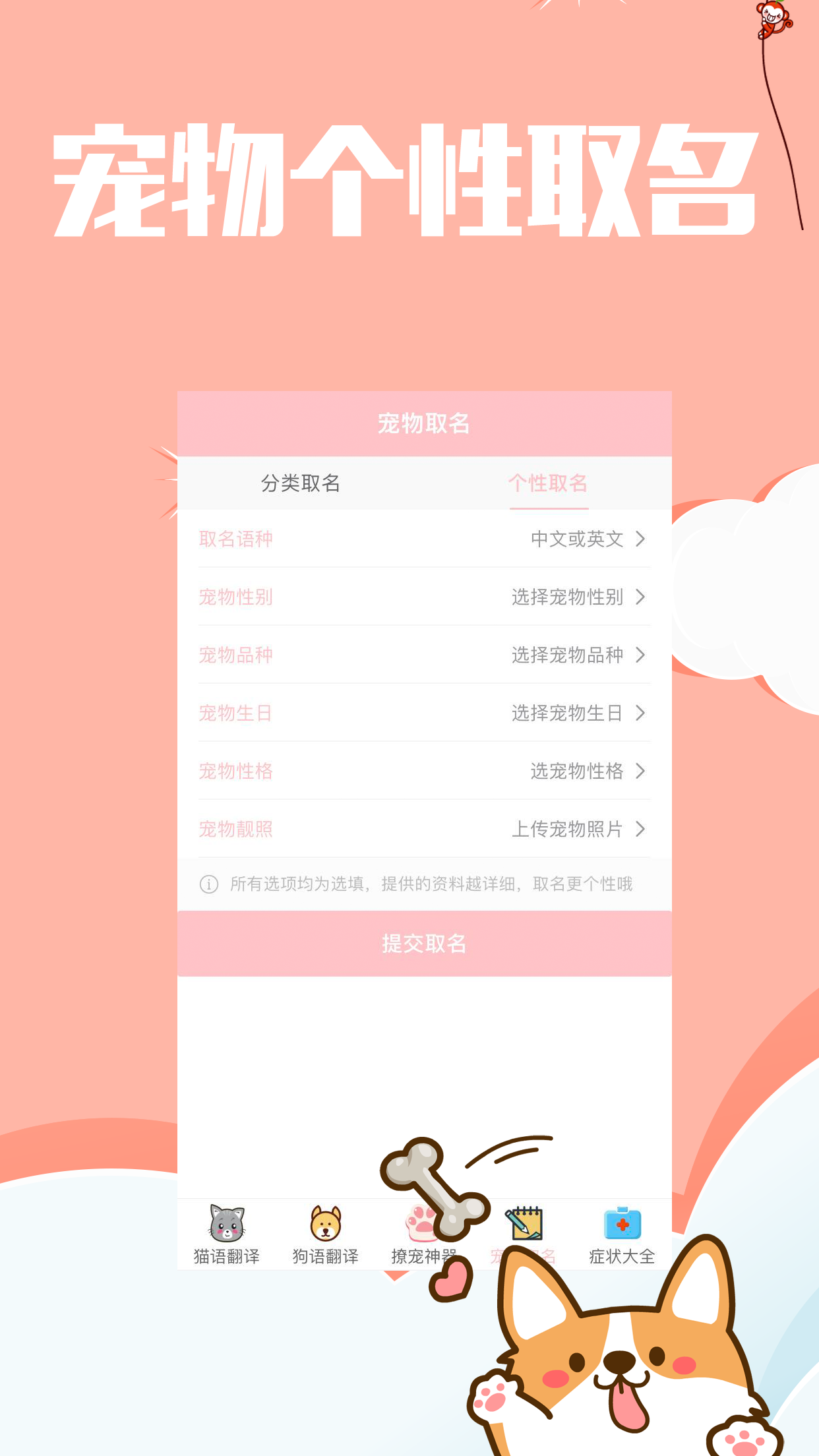 撩宠神器