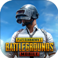 pubg地铁逃生冰雪国度(PUBG MOBILE)