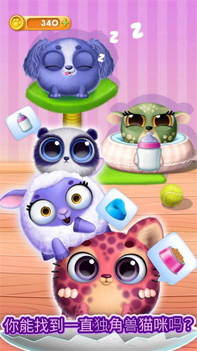 宠物达人 宠物达人