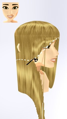 制作发型Hair Dye