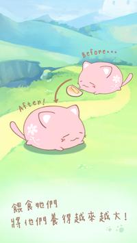 LostCat(麻糬猫收藏)