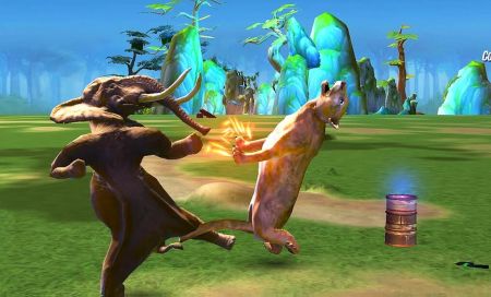 野生动物功夫乱斗Wild Animal Fighting Kung Fu