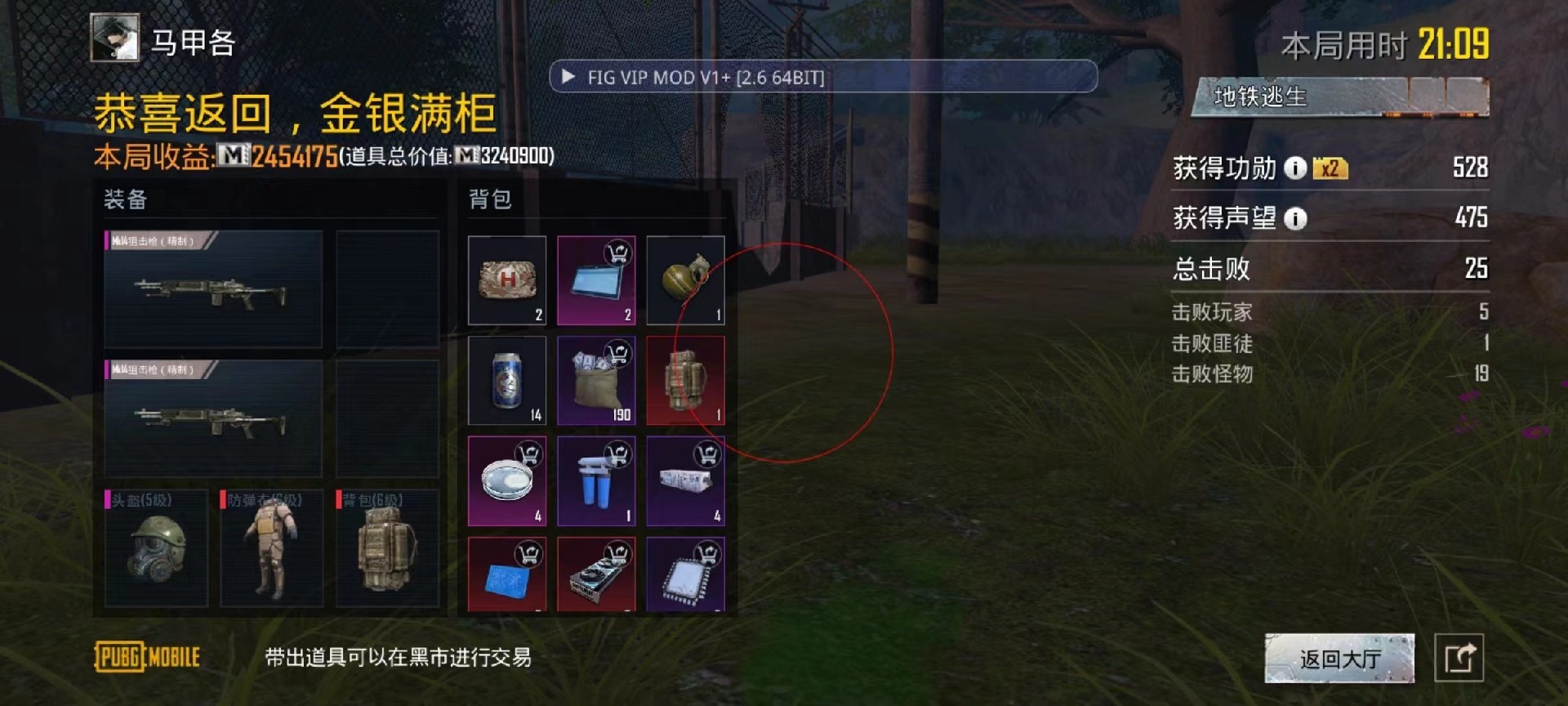和平精英国际服BTC辅助(PUBG MOBILE)