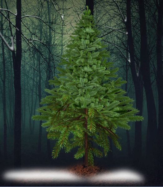 HolyNight3(圣夜3) HolyNight3(圣夜3)