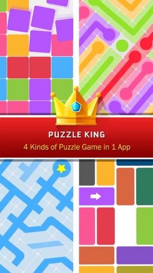 Puzzle King(腦力達人游戏)