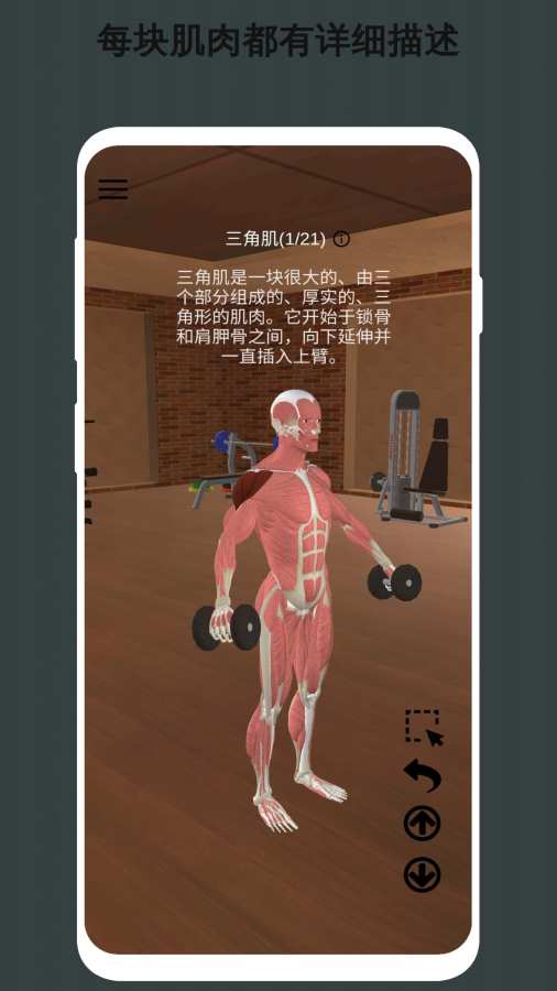 3D健身指南