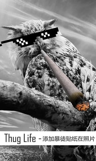 Thug life photo sticker maker带墨镜叼雪茄特效app