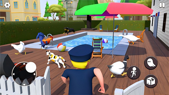 动物进化之旅 动物进化之旅