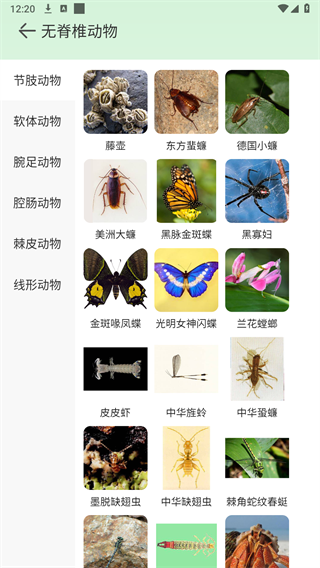 百科全书