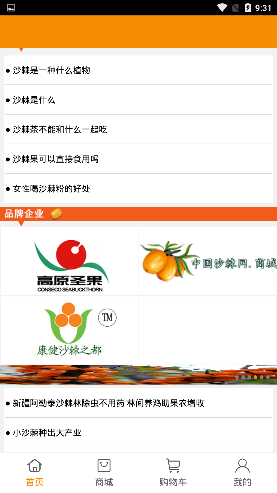 沙棘网