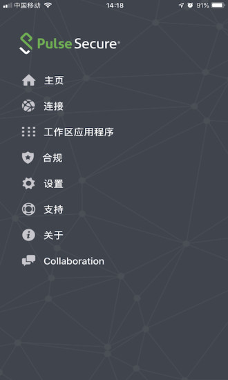 PulseSecure