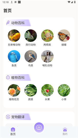 百科全书