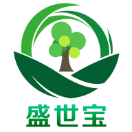 盛世宝