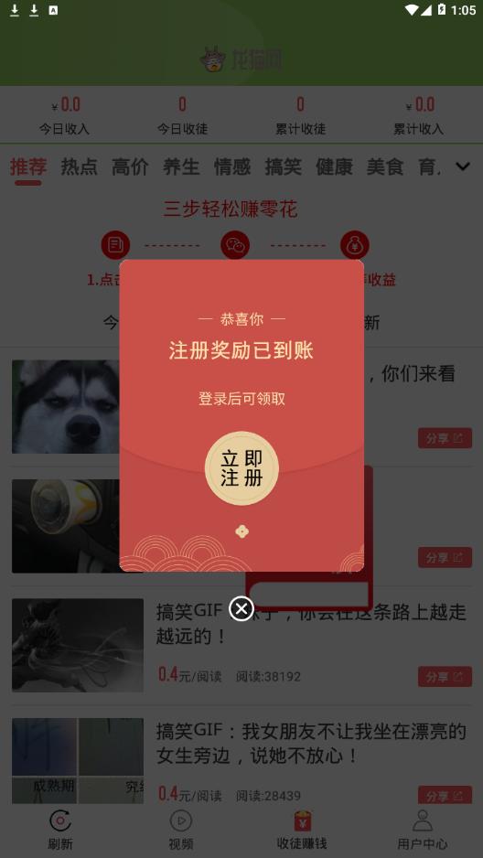 龙猫网