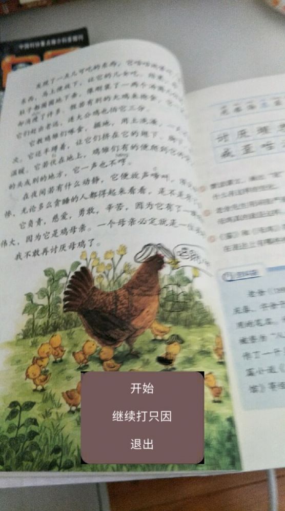 坤山行两年半 坤山行两年半