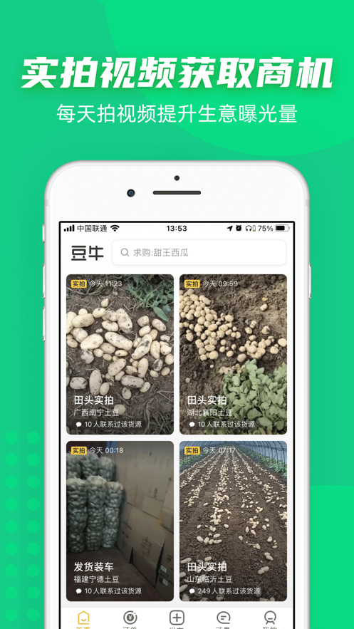 豆牛