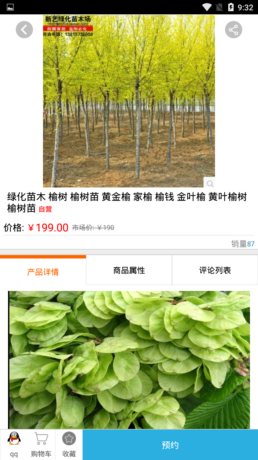 沙棘网