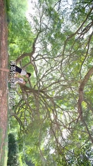 天王影音