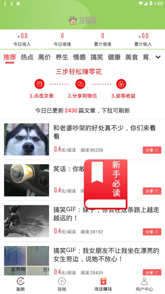 龙猫网
