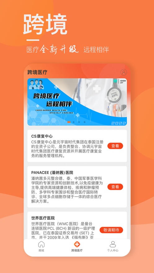 梧桐树