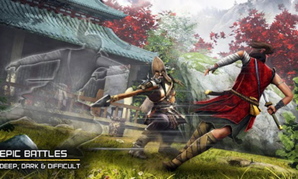 影子猎人的传说中文版（Ninja Ryoku）